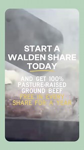 ‘100% grass-fed’ isn’t just a label—it’s a difference you can taste. With a Walden share, you’re getting meat that’s raised with care and crafted with purpose. And to give you a taste of what sets us apart, we’re including a free pound of our legendary grass-fed ground beef in your first year’s shares. Full flavor. Full integrity. Completely worth it. | Walden Local Meat Co.