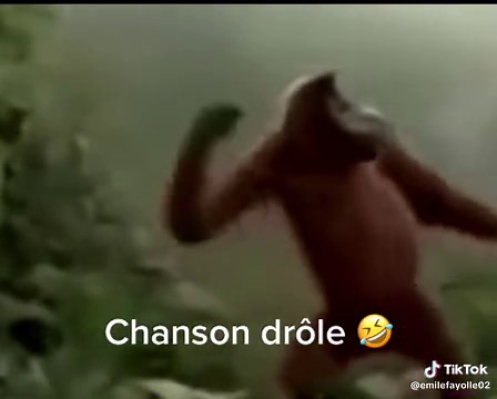 Chanson Drôle: Clip Musical Les Plus Drôles du Monde