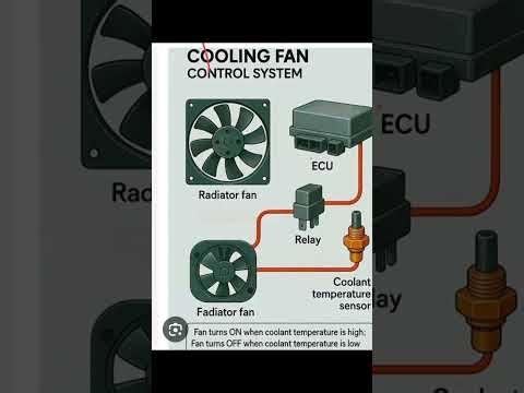 How Does a🏍️ Radiator Fan Work(रेडिएटर का फॅन कैसे काम करता है🏍️बाईक हिट 🔥होगी तो क्या हो सकता हैं)
