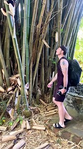 1.7K views · 62 reactions | Here is how to spend the perfect 3 days in Nosy Be, Madagascar! #madagascar #africa #nosybe | Camps Bay Girl | Facebook