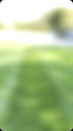 Looking to join our lawn maintenance program❓Give us a call today (631)764-8455📲 #lawnmaintenance #lawncare #lawn #longisland #scag #landscaping #landscape #landscape #design #grading #landscapedesign #bobcat #suffolk #newyork #grass | Davila Industries Inc.