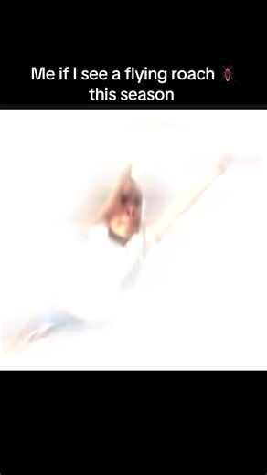 #flyingroach #thisseason #m #run | flying roaches