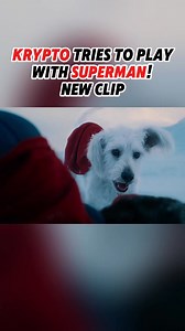 825K views · 10K reactions | KRYPTO tries to play with SUPERMAN! #clarkkent #superman #dcmultiverse #marvel #mcu #dc #dccomics #dcuniverse #batman #justiceleague #henrycavill #manofsteel #brucewayne #snydercut #theflash #barryallen #batmanvsuperman #zacksnydersjusticeleague #wonderwoman #jamesgunn #dceu #dcu #supergirl #davidcorenswet | Yanni’s Nerdverse | Facebook