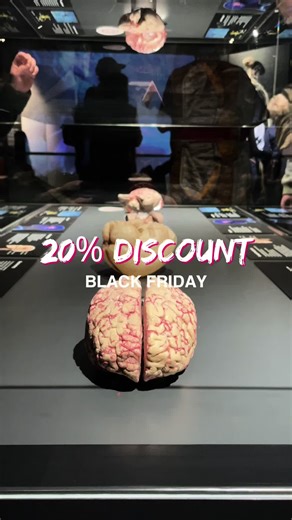 Black Friday is here at BODY WORLDS!✨ Explore the human body like never before and enjoy 20% off selected products. Get your tickets via the link in bio and use code BF2025 at checkout. The code is valid until December 1st. Don’t miss out! #BodyWorlds #BlackFridayDeals #AmsterdamMuseum #HumanBodyExhibit #MuseumExperience
