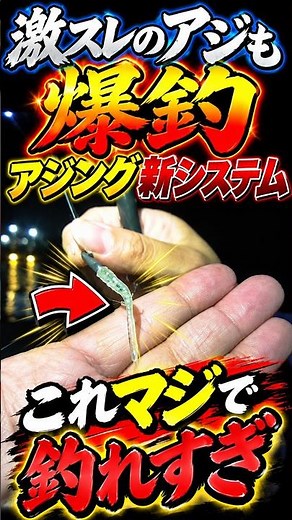 激スレのアジも爆釣できる！アジの釣り方【アジング】＃アジング ＃ツリアメ
