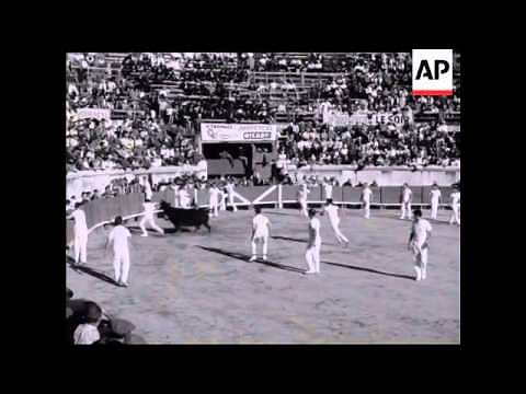 BULL BAITING - NO SOUND