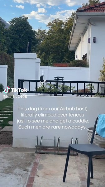 Why Men Who Love Dogs Are Rare