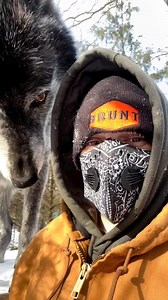 6.9K views · 139 reactions | Perfect shoot  #wolf #wolfdog #drawing #wolfpack #art #worldofwolves #nature #wolfstagram #savethewolves #instawolf #dog #draw #allaboutwolves5 #love #instagood #pack #wolftherian #oc #wolverhampton #wolvesofinstagram #sketch #wolfhybrid #animals #dogs #wolfdrawing #animalsofinstagram #virals #viralpost #viralreelsfb | Wolf Lover | Facebook