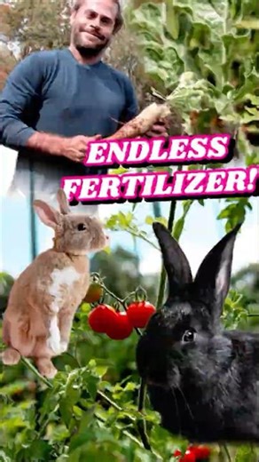 This Simple Rabbit Hack Grows Amazing Veggies!