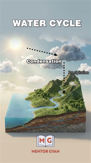 💧 Water Cycle in 60 Seconds | Evaporation to Rain Explained 🌧️