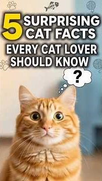 5 Surprising Cat Facts Every Cat Lover Should Know 😺