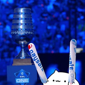 398K views · 123 reactions | Bongo cat? What about clapstick cat?  ...
