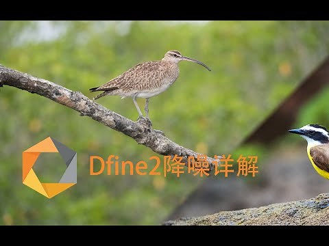 Nik插件Dfine2降噪详解