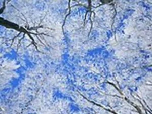 刘文正-春夏秋冬