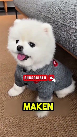 Toen een vader zijn zoon in het leger herkende… 🧑‍✈️😭