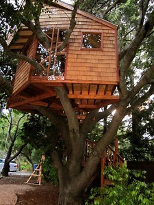 Tricked-out Treehouse