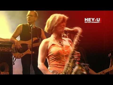 Wolfgang Ambros - Du vastehst mi net [Live 2005]