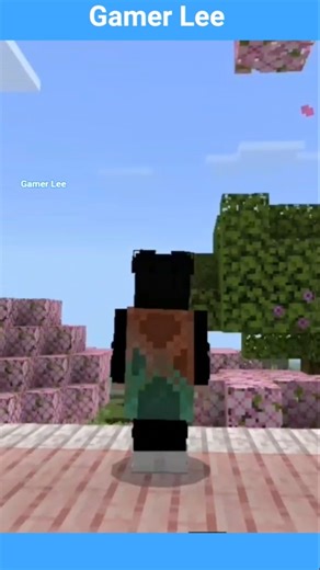 Minecraft THE FALLEN AND #lifeisbutadream #minecraft #minecraftsong #edit #memes