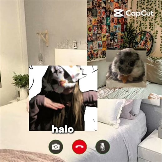 Clover & David (David to mój chomik ) #memes #funny #hamster