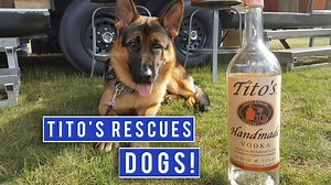 7.1M views · 67K shares | When you learn the story behind "Vodka for Dog People", you'll only buy Tito's Handmade Vodka. | And Go | Facebook