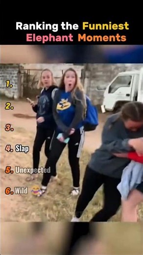 Top 6 Funniest Elephant Moments That Will Make You Laugh 🐘🤣 #funny #ranking #letzletz #elephant