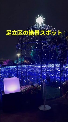 足立区の絶景ネモフィラ畑！夜のライトアップや限定ドリンクもおすすめ【舎人公園】