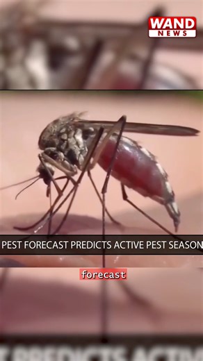 Experts are warning to expect an active bug season in 2026. | WAND News