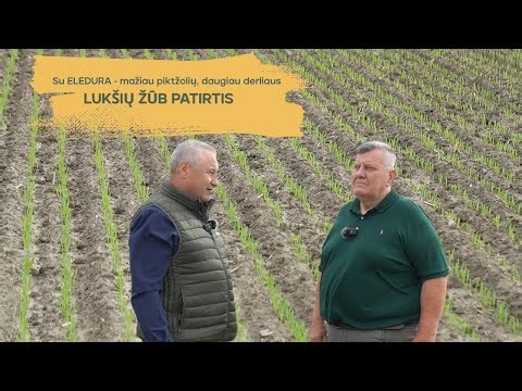 ELEDURA herbicidas: Lukšių ŽŪB patirtis