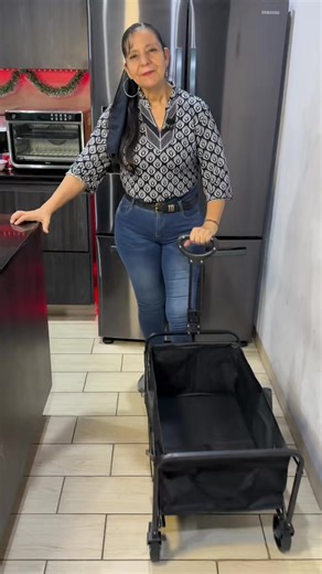 Carrito de Compras Plegable: Práctico y Funcional