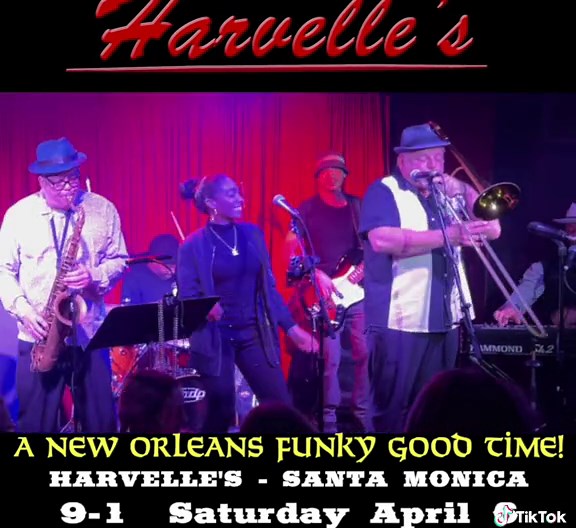 Alligator Beach on TikTok