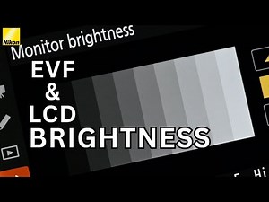 How To Adjust EVF & LCD Brightness In Nikon Z6 III -A Step-By-Step Guide