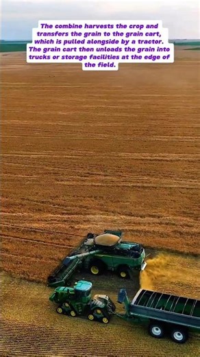 Harvesting Efficiency: Combine and Grain Cart in Action