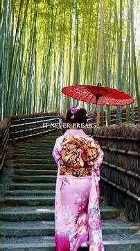 The bamboo forest of Arashiyama🎋.