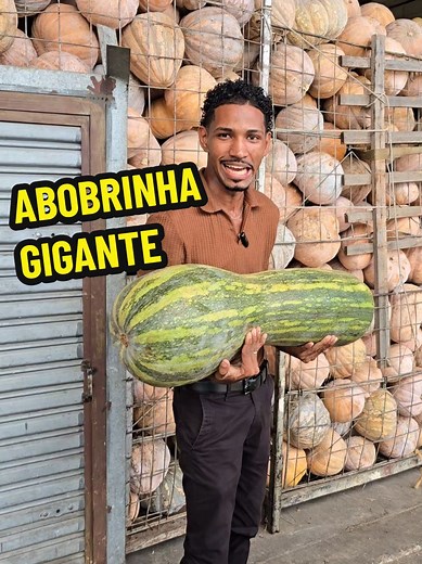 Abobrinha Gigante: Delícias e Curiosidades