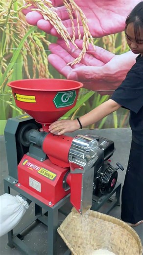 Need efficient rice milling?Get stable 250-300kg/h output with easy operation#dawnagro #ricemill