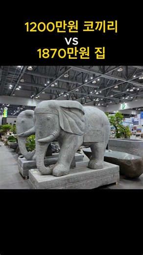 12 million won elephant vs. 18.7 million won house
