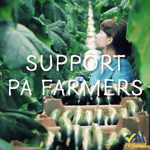 Whether you're looking for pickles, potatoes, or to pick your own, look for the check and pick Pennsylvania. | Pennsylvania Department of Agriculture