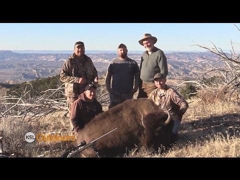 Henry Mountain Bison Hunt