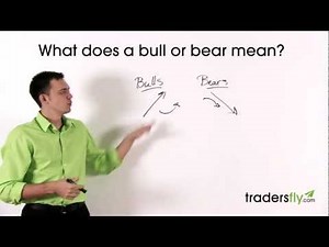 What Does a Bull and Bear Mean in the Stock Market