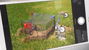 Keen to use Snap Send Solve to report a problem? Reports using Snap Send Solve take less than 30 seconds to make. 1. Open the App 2. Confirm your location 3. Select the Incident Type 4. Take a photo of the issue 5. Fill out notes and any additional fields 6. Send report 📱 You can download the app for Apple and Android. | Randwick City Council