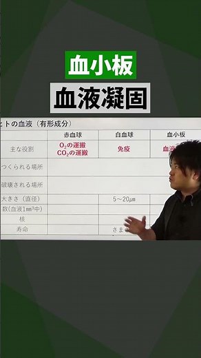 #shortstudy 生物【造血幹細胞とは!?】 #勉強 #生物