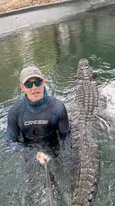 Gator safety PSA, always be careful around the water in Gator country! Keep kids and pets away from the water, even if it “seems” like there aren’t any gators! Thankfully gators don’t usually see adult humans as food and really want nothing to do with people! If you enjoy the video, PLEASE SHARE!! Getting the educational content out there is our best bet to get people to care about and want to help wildlife! ~~~You can come swim with me and Casper! If you want to come join you can book online no