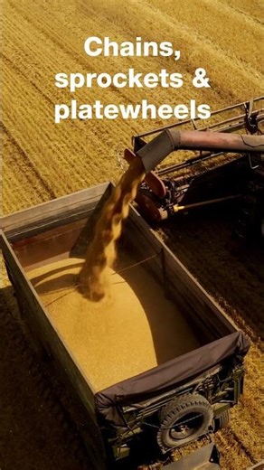 Codex solutions for agriculture