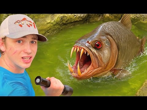 I Found a MONSTER in an Abandoned Pond!