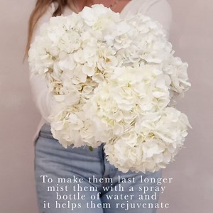 Bloomingmore | Fresh Cut Flowers | Elite Purple Hydrangea | 12 Stems | Home, Office, Wedding Decor, DIY, Party Event, Housewarming, Teacher and Engagement