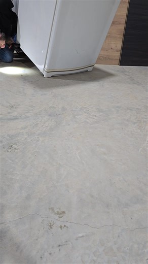 1.9K views · 24 reactions | We recently relocated this beautiful Goulds monitor (Varanus Gouldii) out of a cabinet makers work shed. We are available 24/7 for any reptile relocations, you can also book us in for a property inspection, please contact us on 0488 278 606 #monitorlizard #Varanusgouldii #snake #jydensreptileremovals #Perth #wheatbeltbusiness #perthisok | Jyden's reptile removal's | Facebook