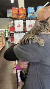 235 reactions · 5 comments | Happening NOW until 2!! Natural Pet Food & Supplies Murrieta CA sweet Stella Rose and lots of kitties and of course Trevor….. more adoptables in comments爛 | Lucky Chi Dog Rescue | Facebook