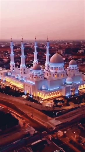 disarray ali on TikTok