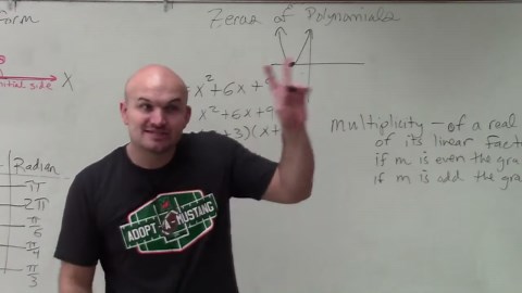 Learn how and why multiplicity of a zero make sense