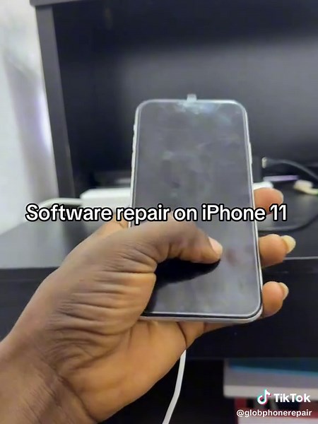 iPhone 11 Software Repair Guide